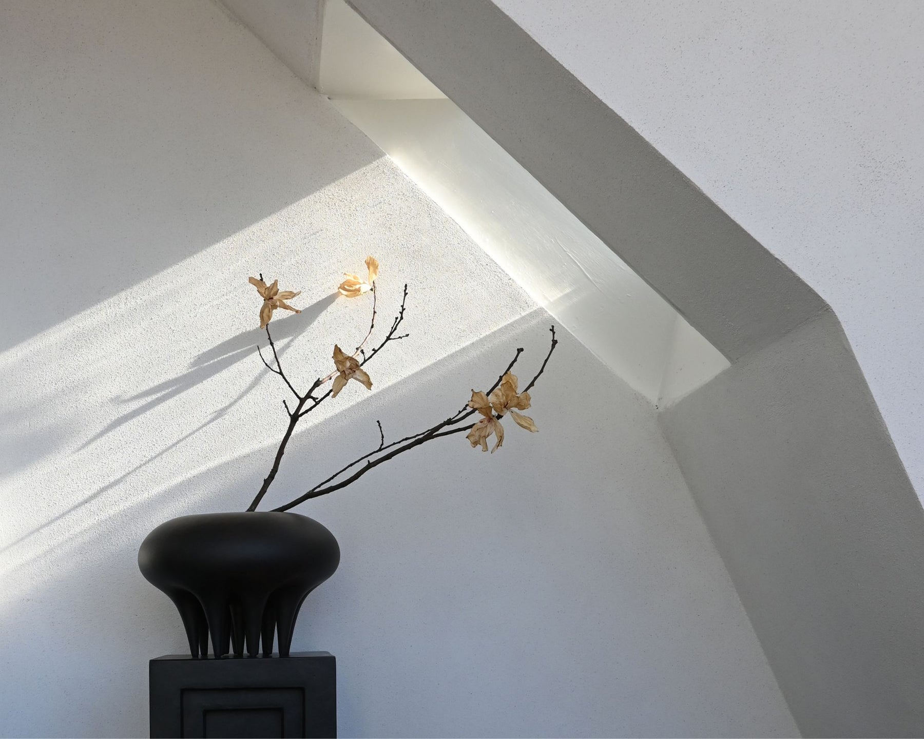 Modern Ceramic Bowl | DSHOP