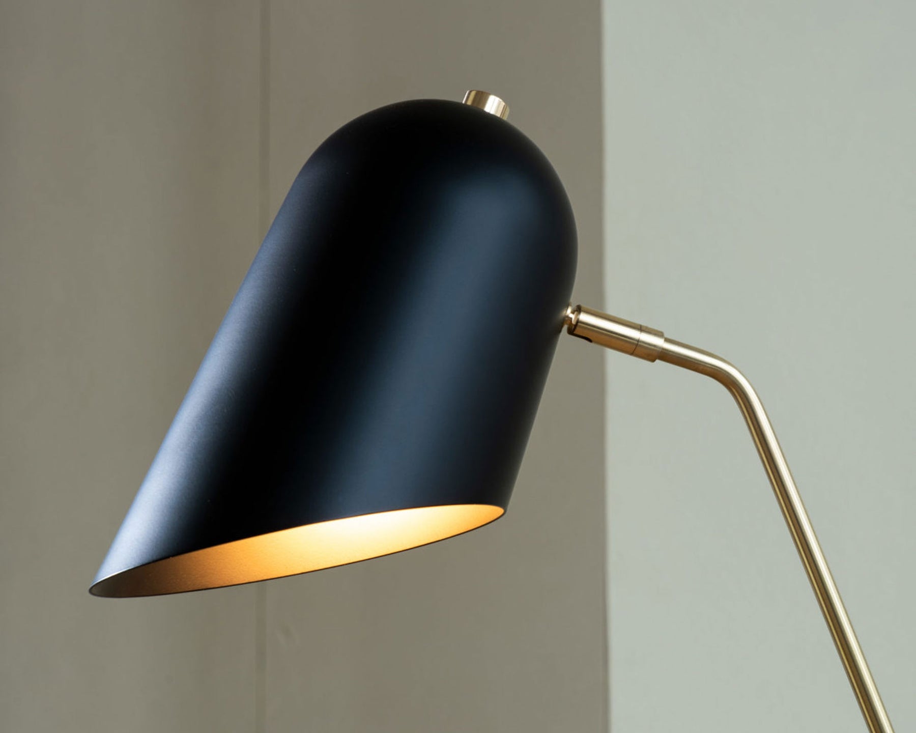Black & Brass Floor Lamp | DSHOP