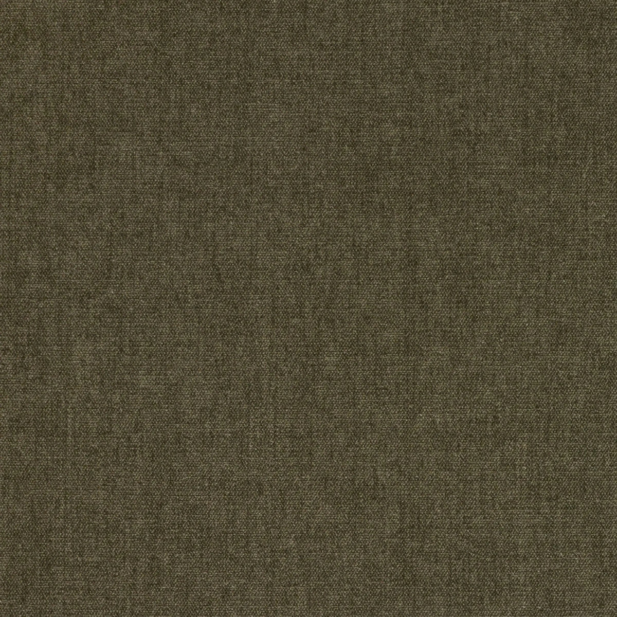 Belsuede Special FR - 002