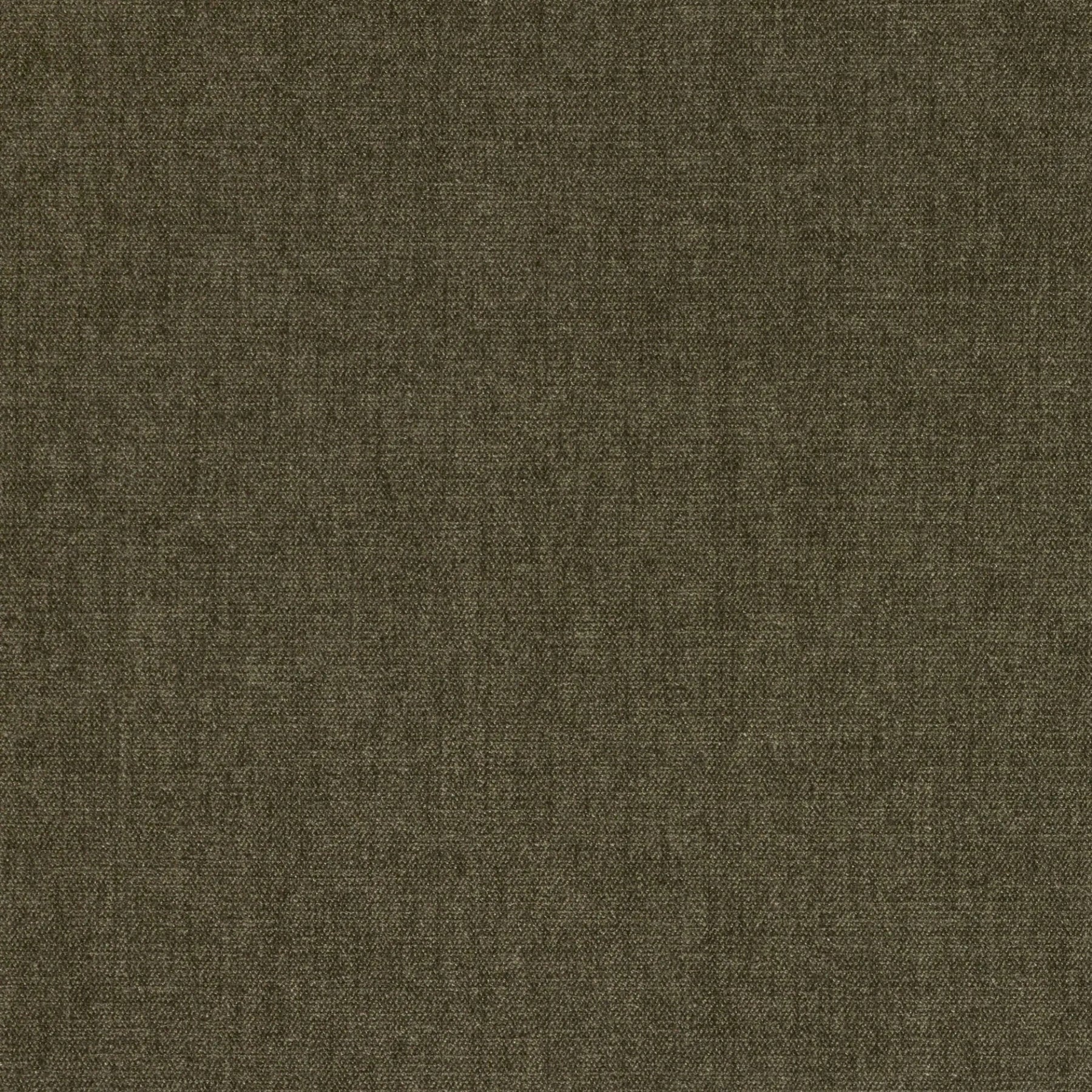 Belsuede Special FR - 002