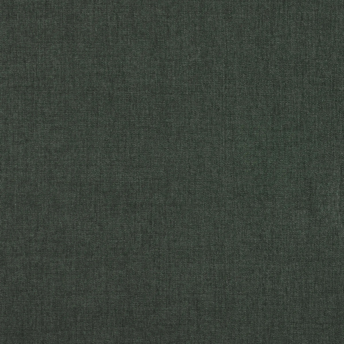 Belsuede Special FR - 012