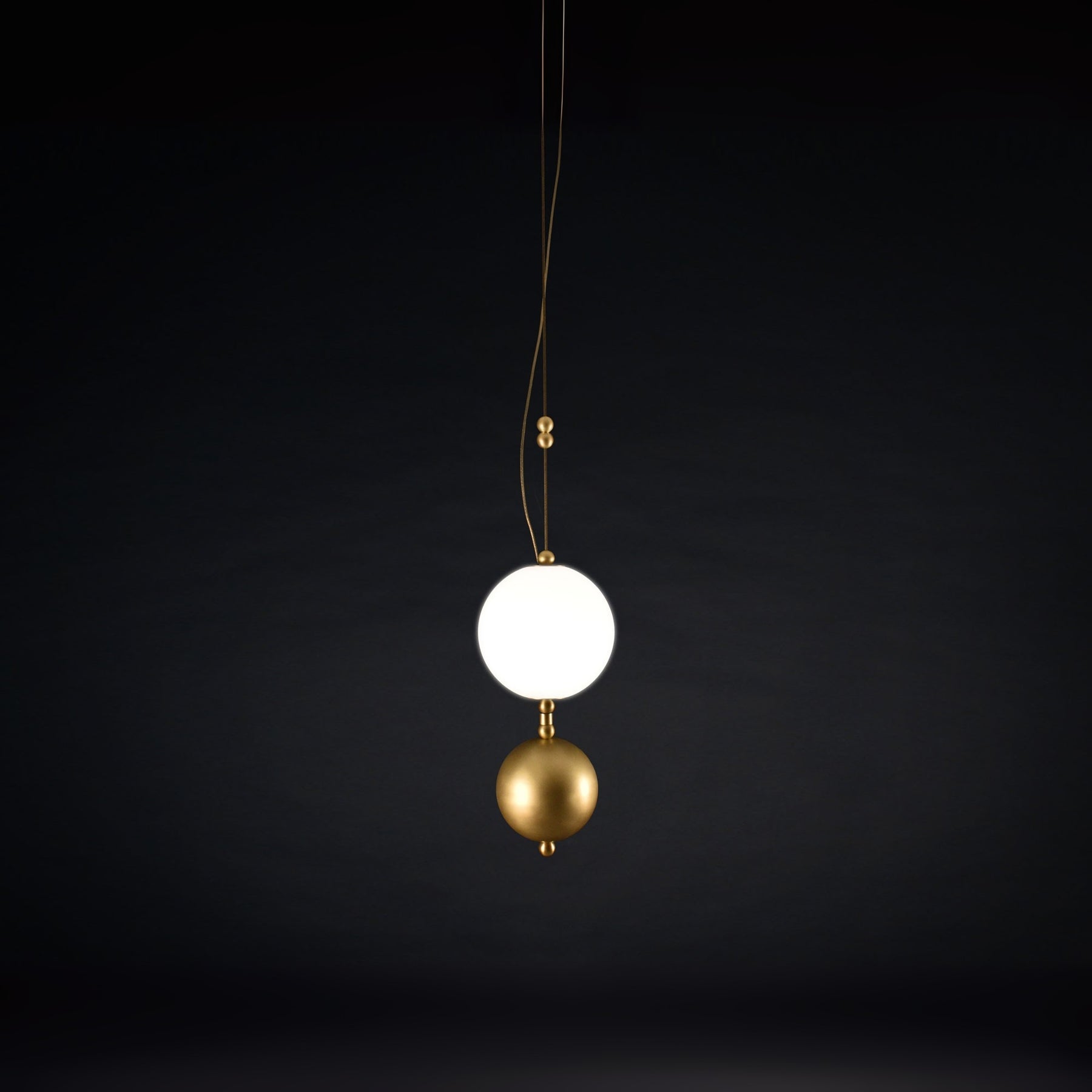 Coco XS 01 | DSHOP