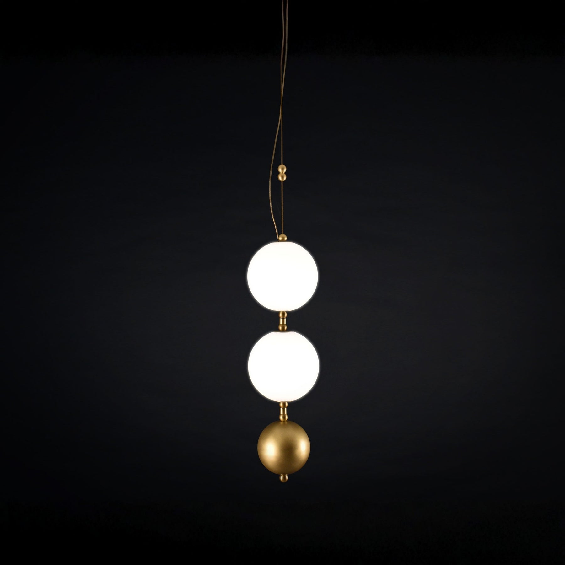 Coco XS 02 | DSHOP