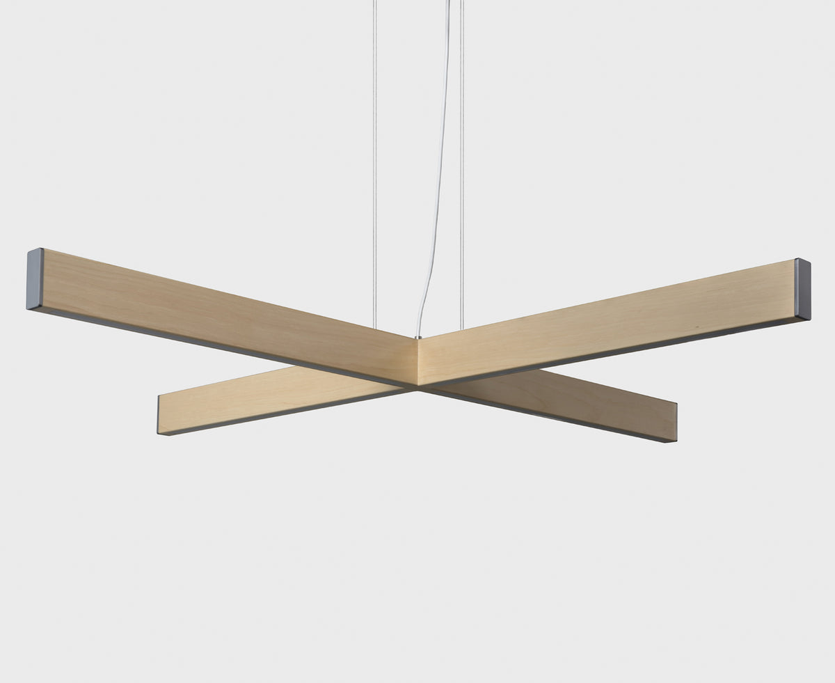 AlexAllen 2x4 Plus Pendant - Large | DSHOP