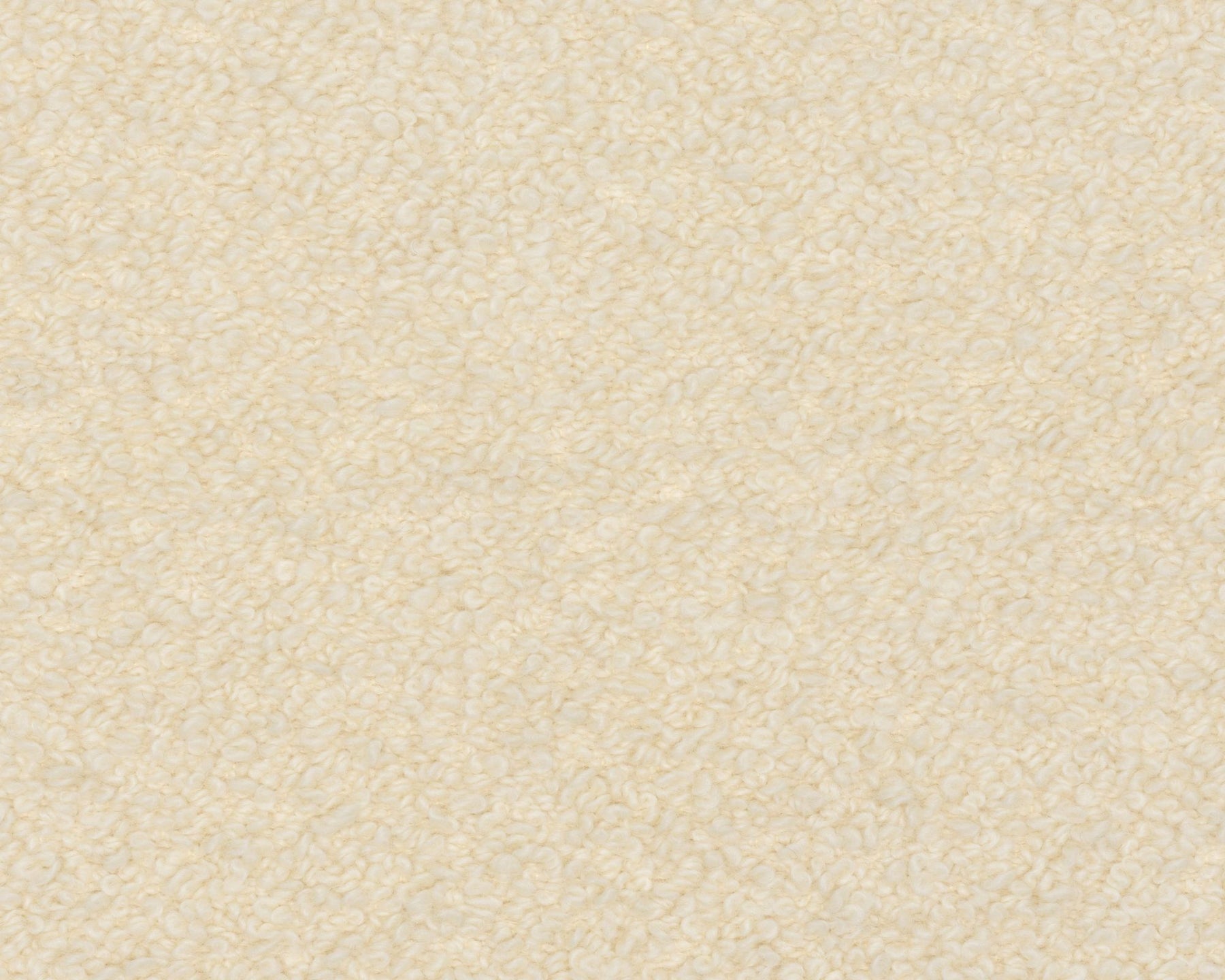 Artemidor - 001 Boucle | DSHOP
