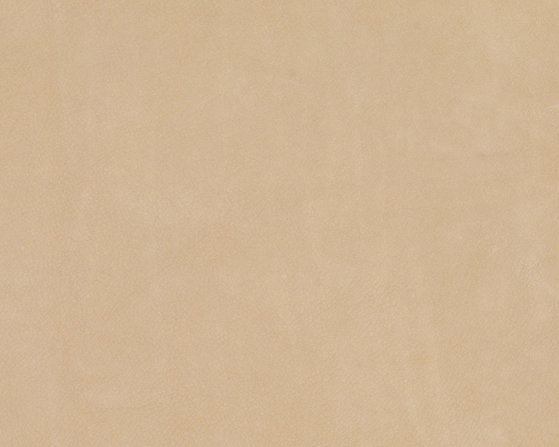 Chamois Leather - 1716 Doeskin | DSHOP