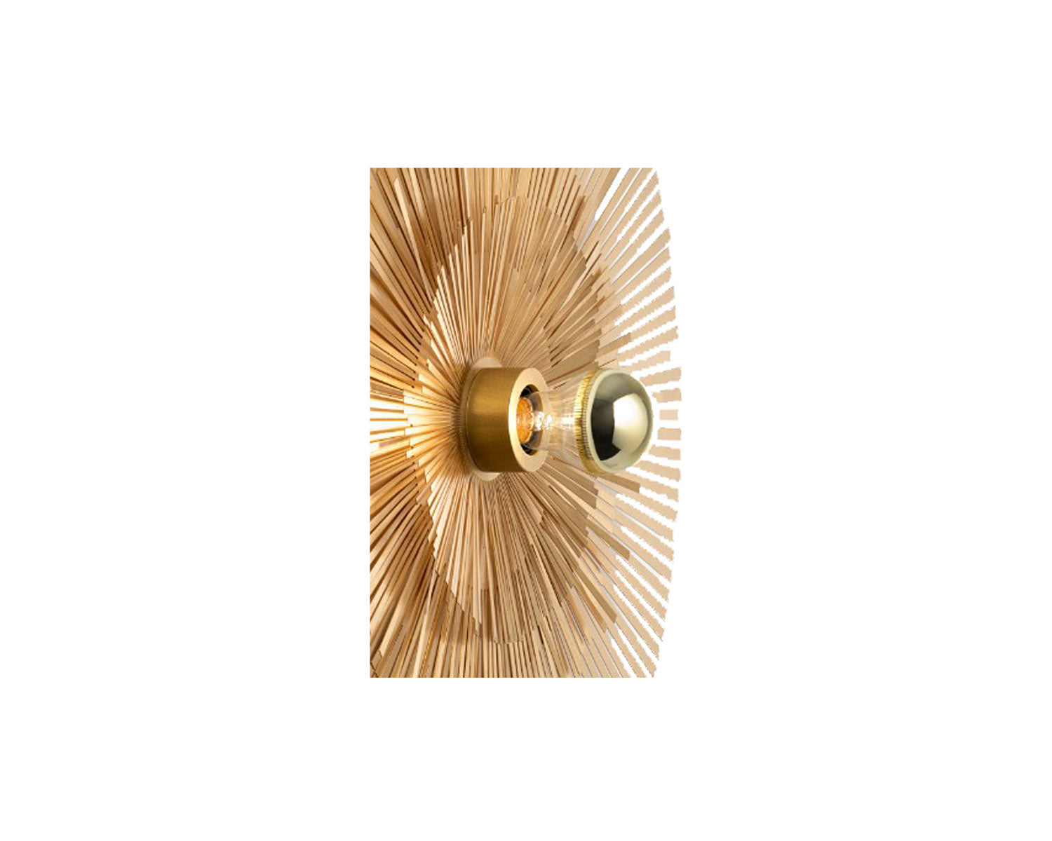 Brass Starburst Sconce | DSHOP