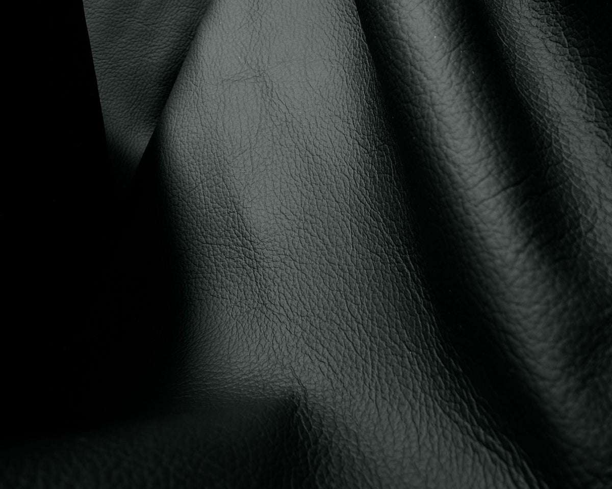 Black Protected Leather | DSHOP