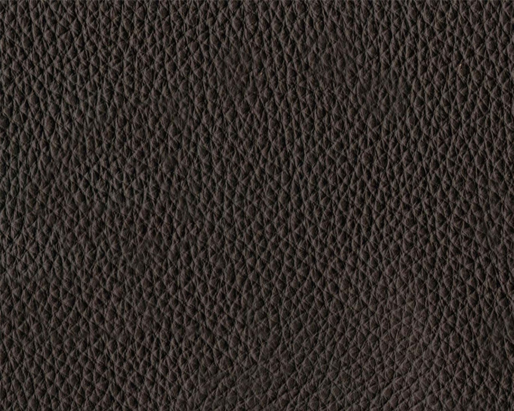 Thor Leather - 377
