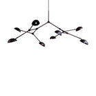 Drop Chandelier, Standard, Burned Black - DSHOP