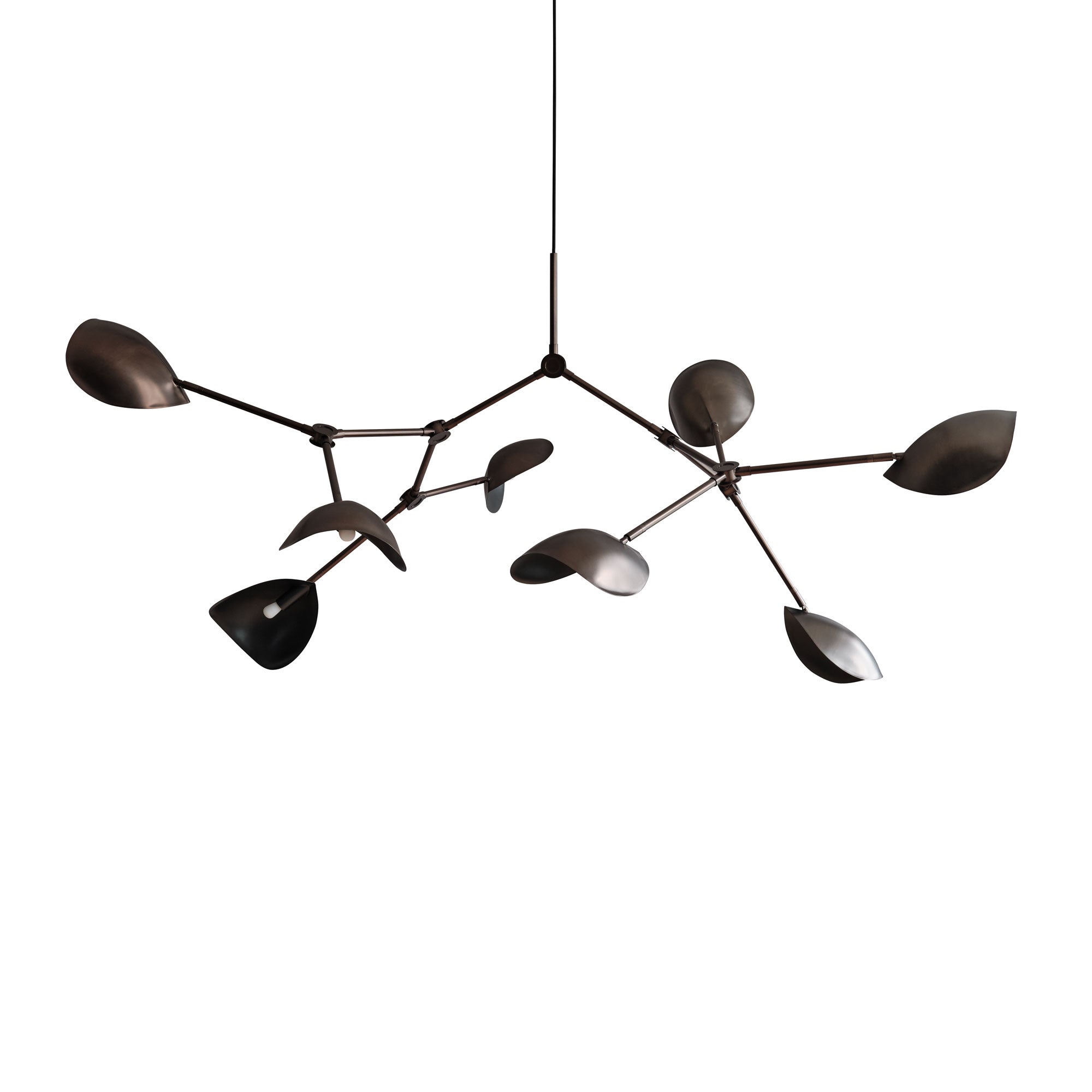 Sting Ray Chandelier - Standard | DSHOP
