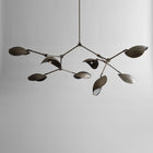 Stingray Chandelier - Bronze | DSHOP