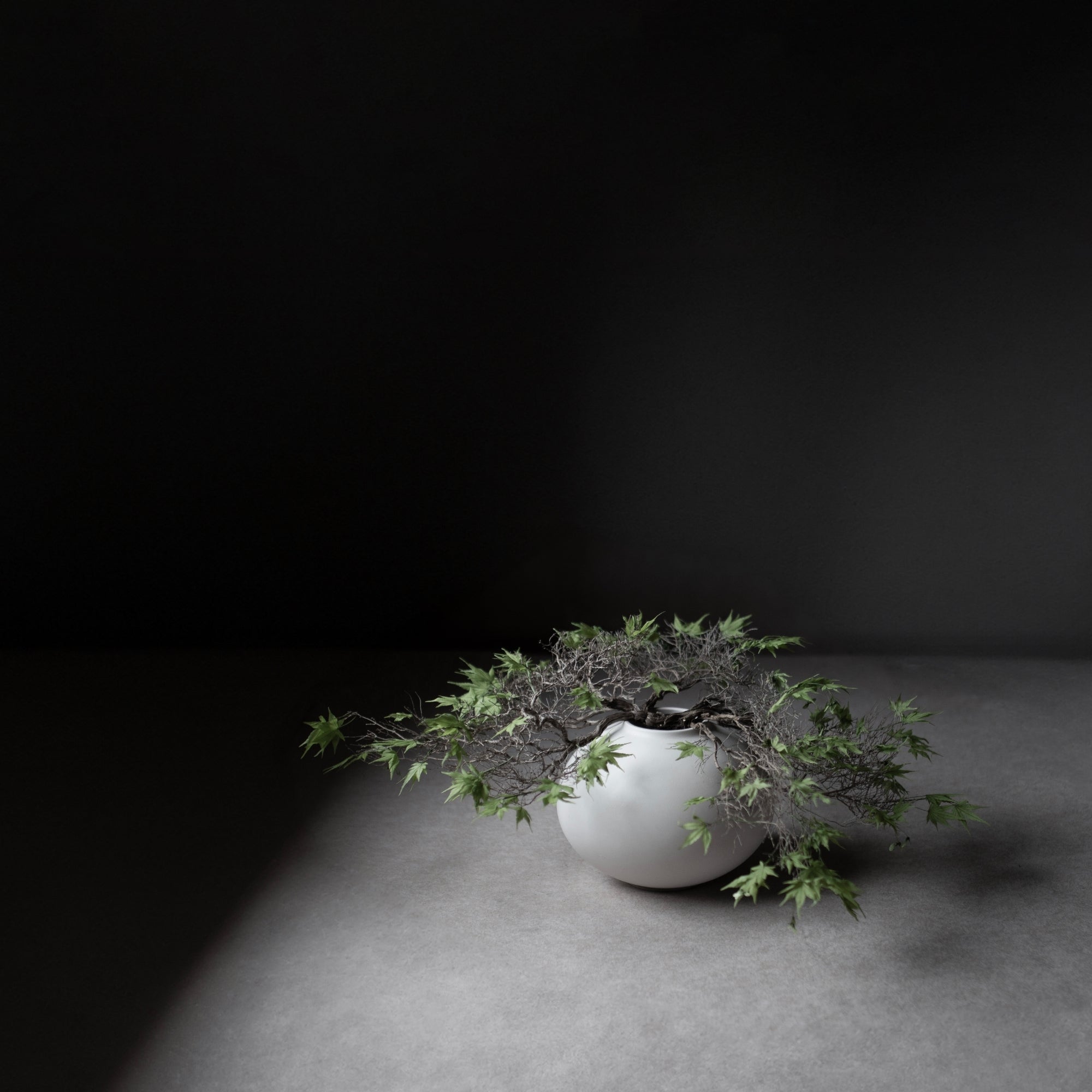 Sunao Fat Vase - Mini | 101 Copenhagen at DSHOP