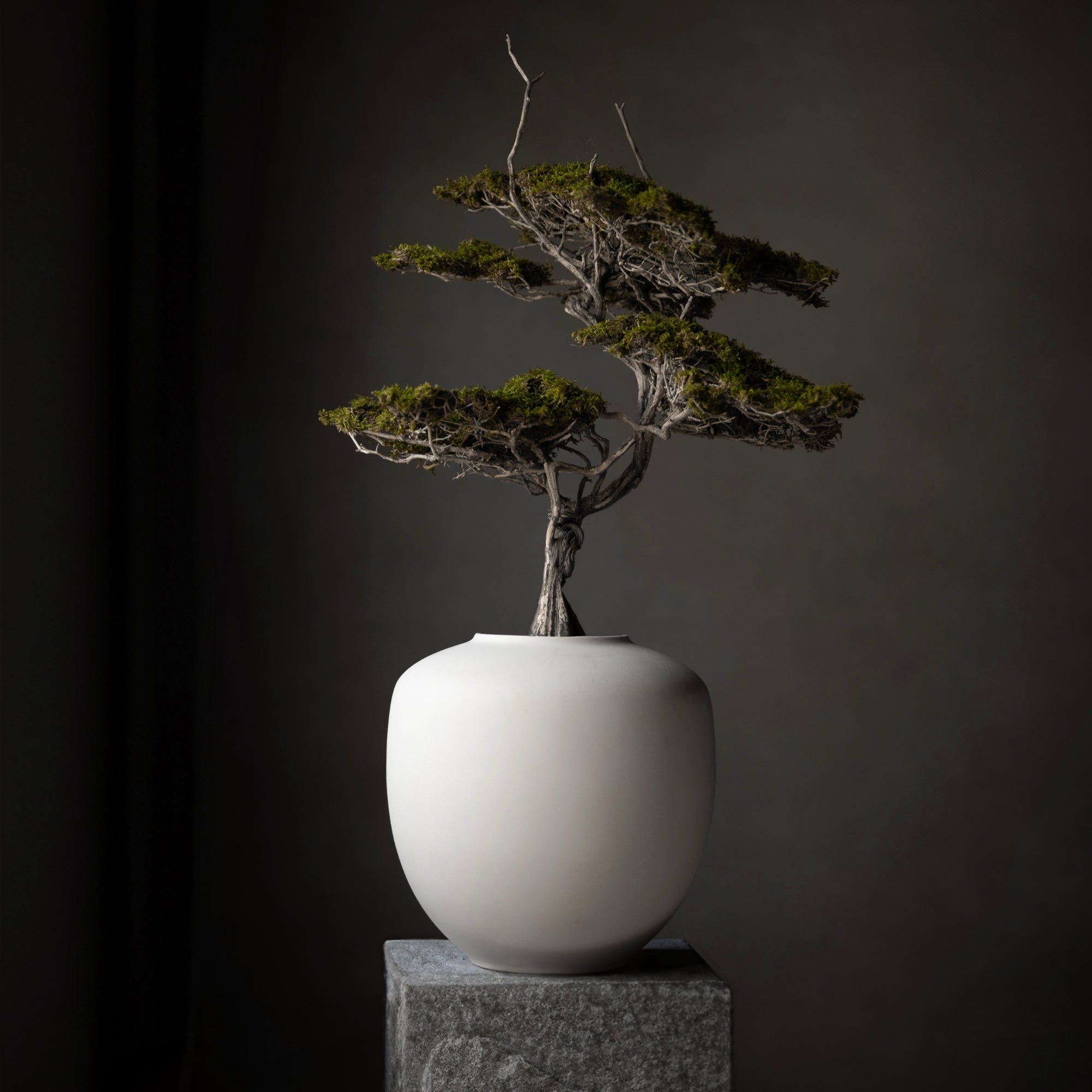 Sunao Vase - Medio | 101 Copenhagen at DSHOP