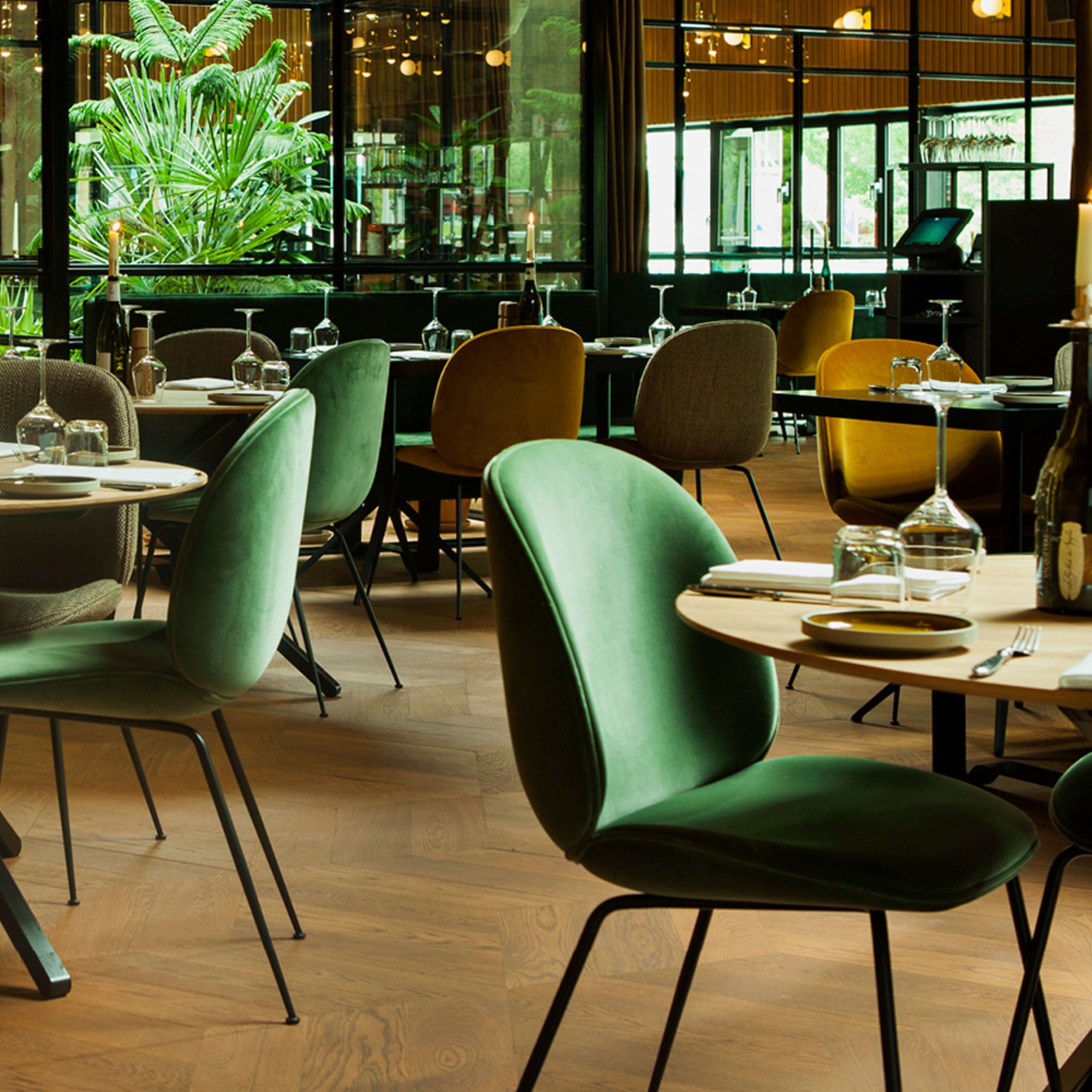 Restaurant Dining Chairs 