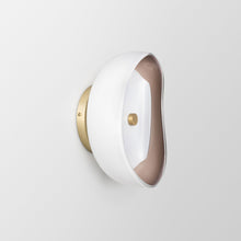 Aequorea Sconce