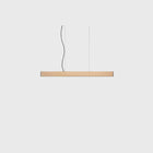 2x4 Pendant - Small | DSHOP