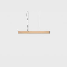 2x4 Pendant - Small | DSHOP