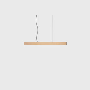 2x4 Pendant - Small | DSHOP