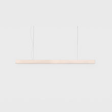 2x4 Pendant - Medium | DSHOP