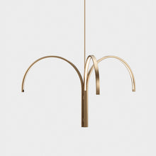 Cane Cluster | DSHOP