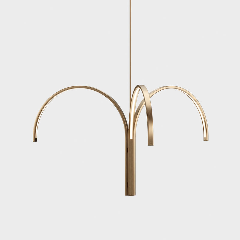 Cane Cluster | DSHOP