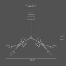 Drop Chandelier, Burned Black, Standard Dimensions