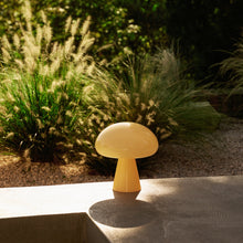 Indoor Outdoor Table Lamp | DSHOP