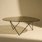Organic Glass Coffee Table - DSHOP