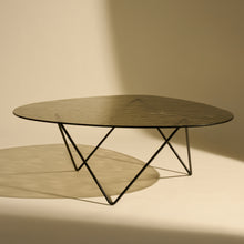 Organic Glass Coffee Table - DSHOP