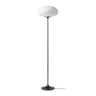 Stemlite Floor Lamp
