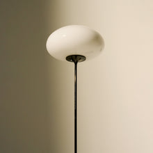 Stemlite Floor Lamp