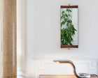 Small Rectangular Wall Mirror | DSHOP