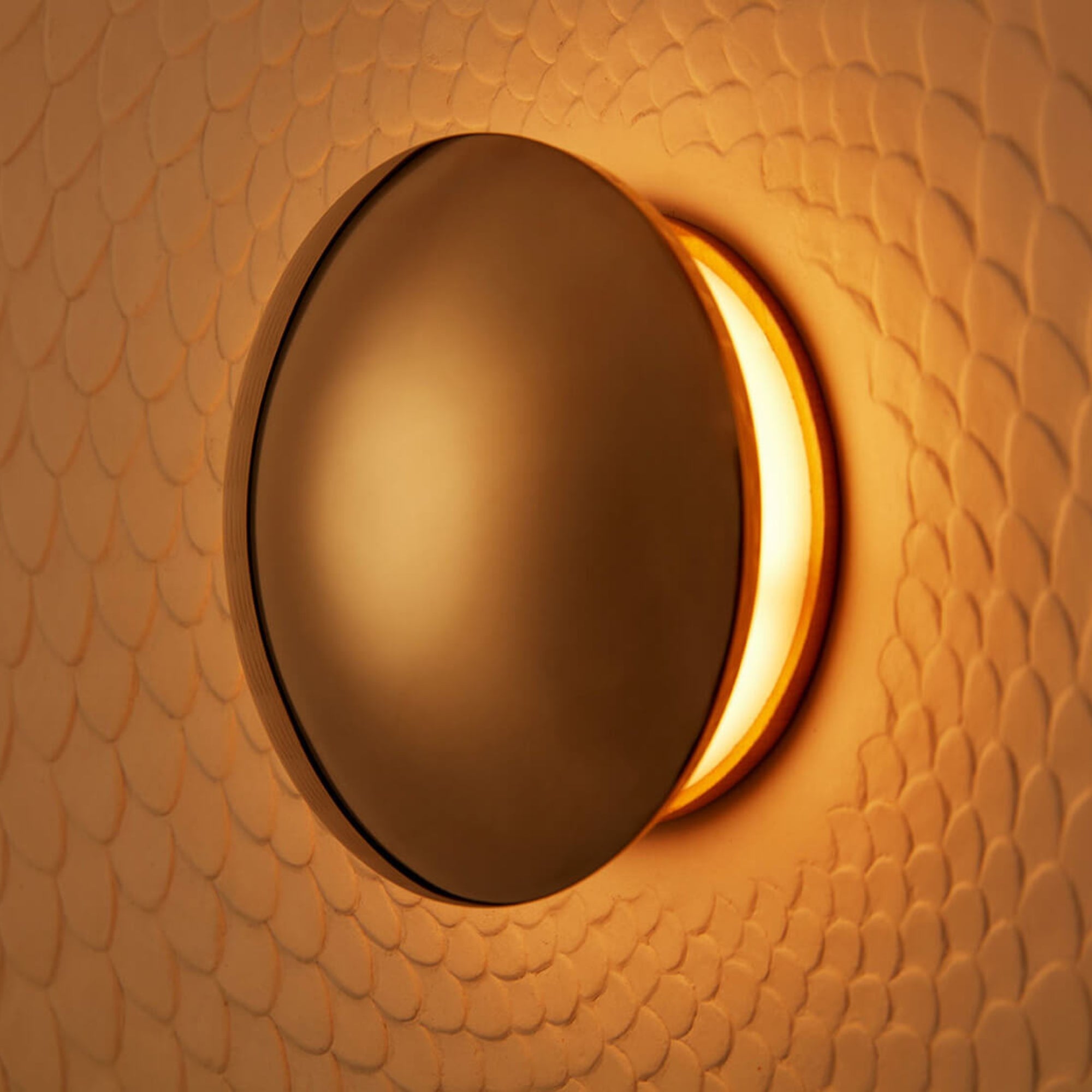 Chisaii Ryu Wall Lamp by Jennifer Midoz | DSHOP