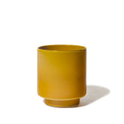 Joe Cariati Fiorelli Low Container – Glass Art in Mustard