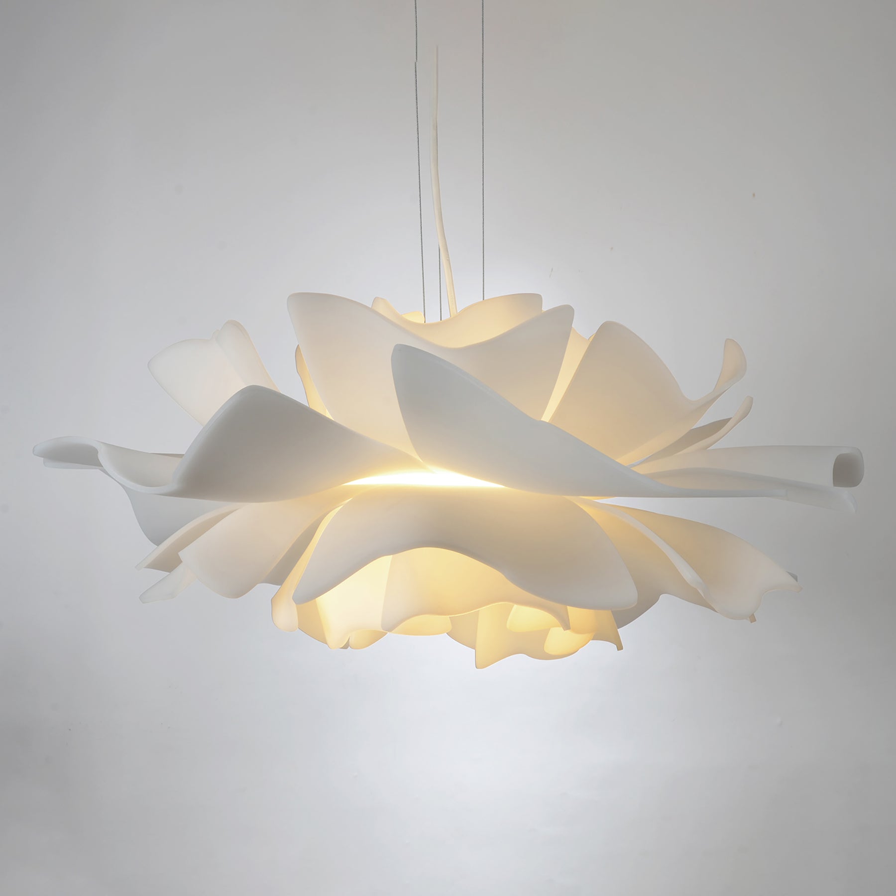 Love Me Not Pendant Light | DSHOP