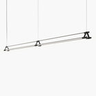 Juniper Thin Multiples