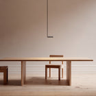 Adjustable Pendant Light | DSHOP