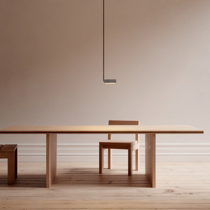 Adjustable Pendant Light | DSHOP