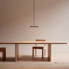 Multi Direction Pendant Light | DSHOP
