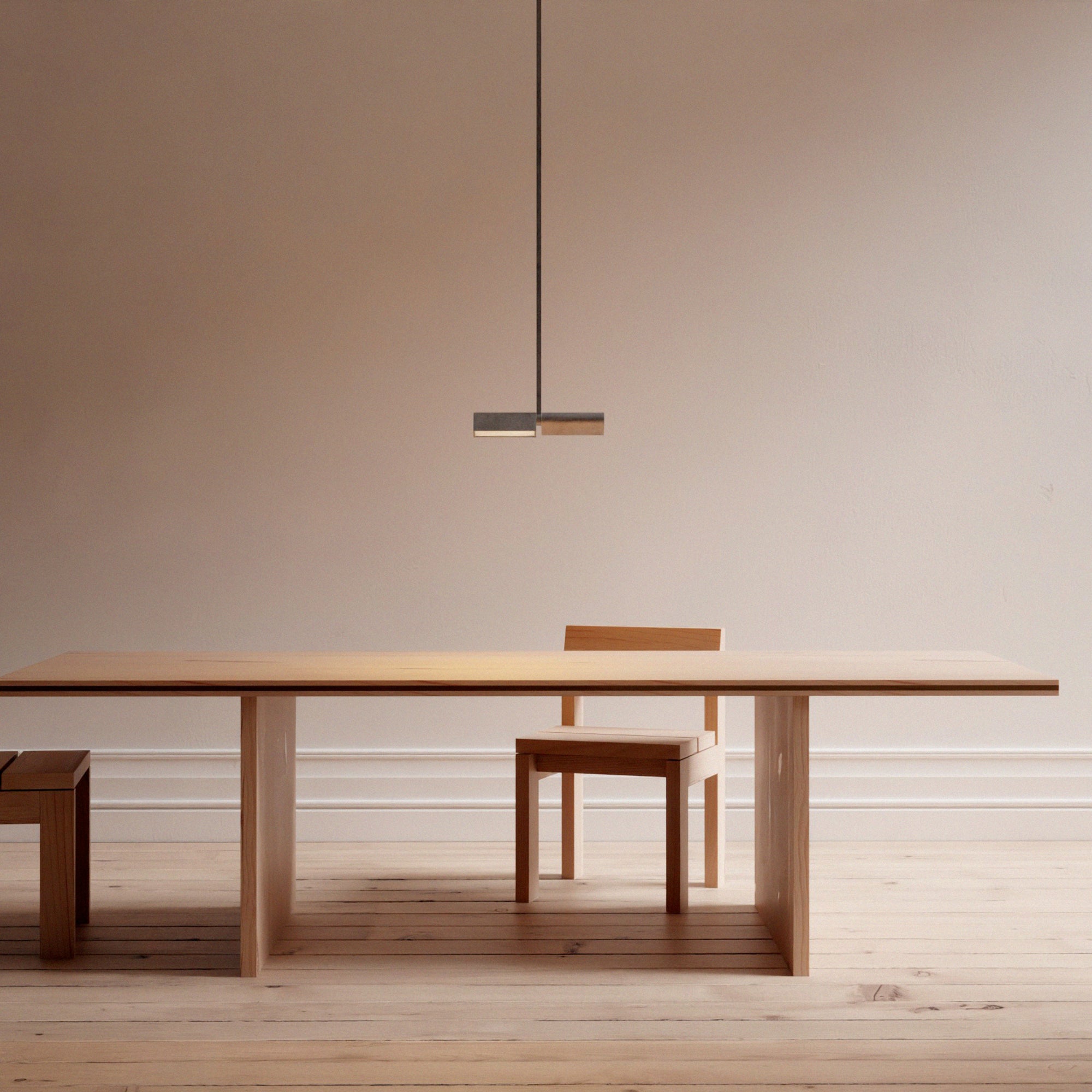 Multi Direction Pendant Light | DSHOP
