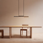 Linear Suspension Lamp | DSHOP
