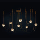 Larose Guyon Abysse 08 Chandelier | DSHOP