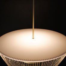 Larose Guyon Chain Chandelier | DSHOP