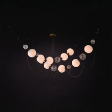 Coco de Mer Chandelier | DSHOP