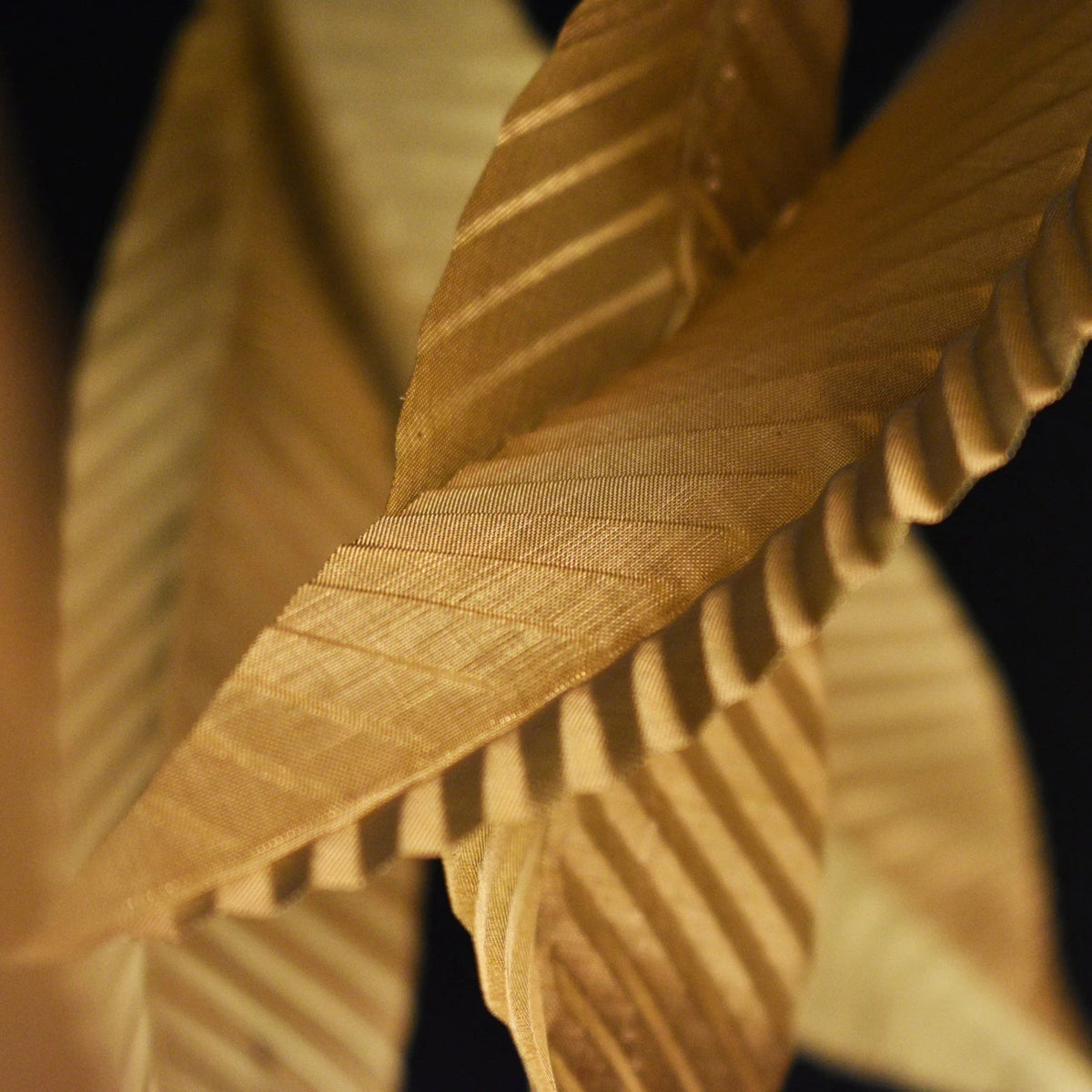 Larose Guyon Saule L 01 – Elegant Details