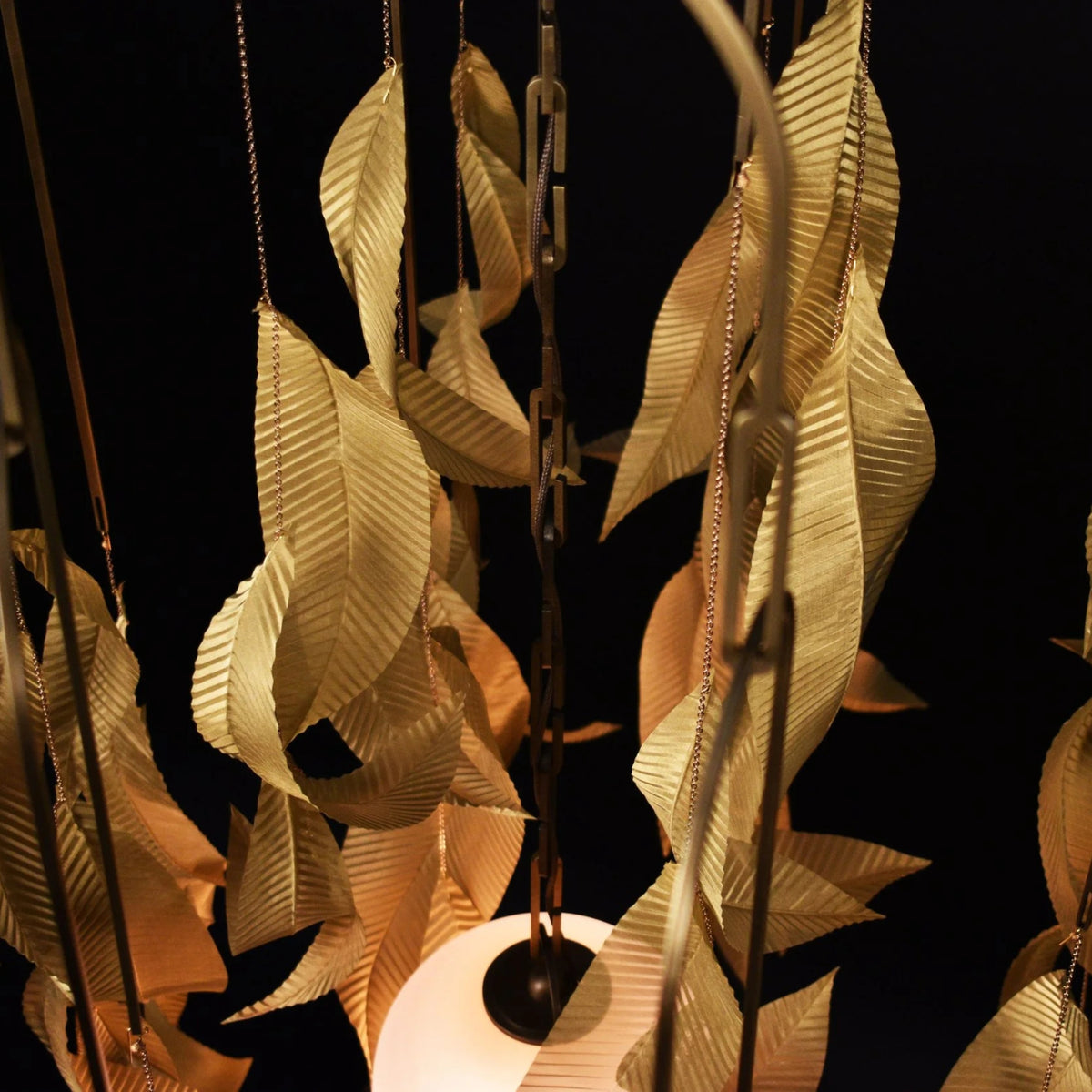 Larose Guyon Saule L 01 – Elegant Lighting