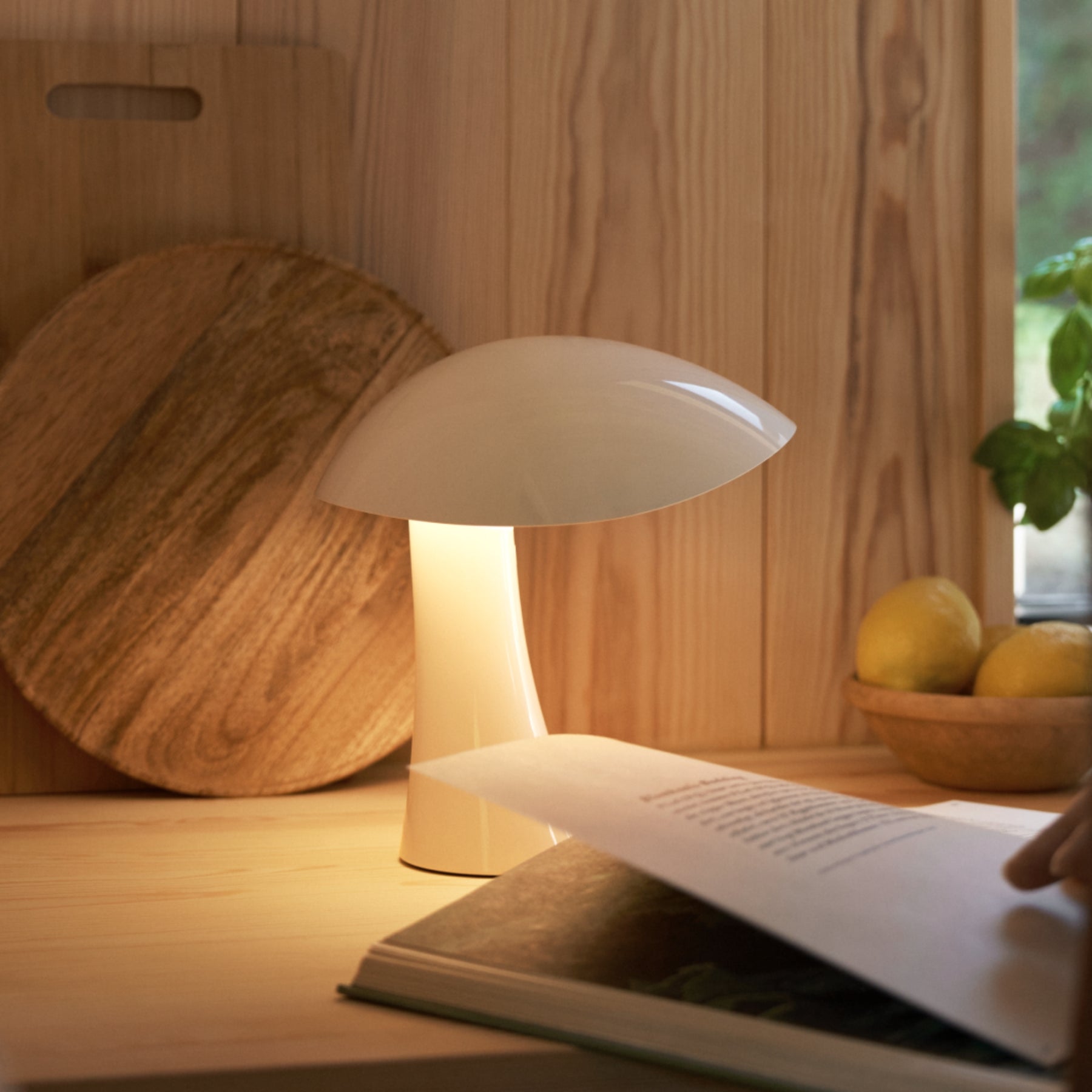 Portable Reading Lamp