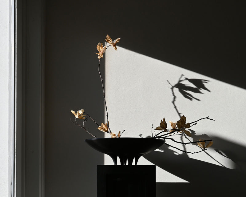 Medusa Ceramic Bowl | DSHOP