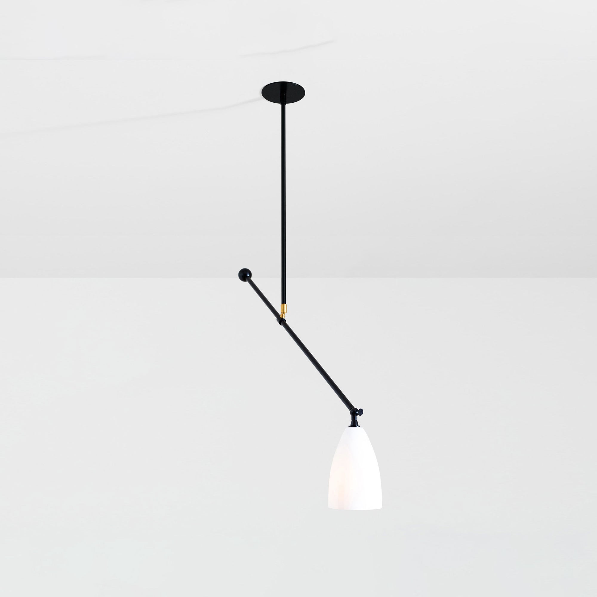 Current Adjustable Pendant Light | DSHOP